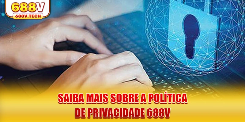 saiba-mais-sobre-a-politica-de-privacidade-688v